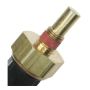 Standard Ignition TS-302 Temperature Sender - With Gauge