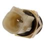 Standard Ignition TS-378 Coolant Fan Switch
