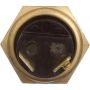 Standard Ignition TS-49 Temperature Sender - With Light