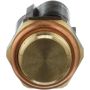 Standard Ignition TS-601 Coolant Fan Switch
