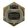 Standard Ignition TS674 Fuel Injection Thermo Time Switch
