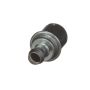 Standard Ignition V173 PCV Valve