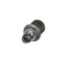 Standard Ignition V341 PCV Valve