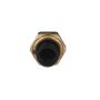 Standard Ignition VP16 Exhaust Back Pressure Sensor