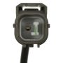 Standard Ignition VVT382 Variable Valve Timing Solenoid