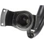 SPECTRA PREMIUM FN571 Fuel Filler Neck