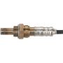 SPECTRA PREMIUM OS5462 Oxygen Sensor
