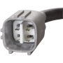 SPECTRA PREMIUM OS6084 Oxygen Sensor