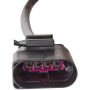 SPECTRA PREMIUM OS6231 Oxygen Sensor