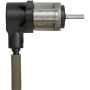 SPECTRA PREMIUM S10261 Engine Crankshaft Position Sensor