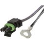SPECTRA FUEL SP06F1H Fuel Pump and Sender Assembly