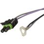 SPECTRA FUEL SP06F2H Fuel Pump and Sender Assembly