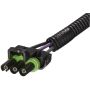 SPECTRA FUEL SP17B1H Fuel Pump and Sender Assembly