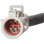 SPECTRA FUEL SP2293M Fuel Pump Module Assembly