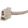 SPECTRA FUEL SP5038M Fuel Pump Module Assembly