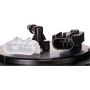 SPECTRA FUEL SP6682M Fuel Pump Module Assembly