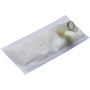 SPECTRA FUEL STR15 Fuel Pump Strainer