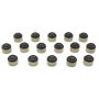 MAHLE SS45796 Engine Valve Stem Oil Seal Set