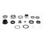 SKF STCK226 SKF Np126 Np226 Transfer Case Seals Bearings Gasket Rebuild Overhaul Kit STCK226