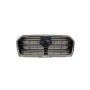 GRILLE ASSY; BASE|CONVENIENCE|LTD|PREMIUM; W/O FRT VIEW CAMERA; SILVER GRAY/CHR ASCENT 2019-22
