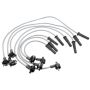 Standard Motor Products 2969 Domestic Car Wire Set
