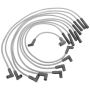 Standard Motor Products 2975 Domestic Car Wire Set