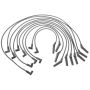 Standard Motor Products 6919 Domestic Car Wire Set