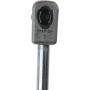 TUFF SUPPORT 611631 Hood Lift Support