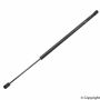 TUFF SUPPORT 612343 Back Glass Lift Support