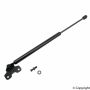 TUFF SUPPORT 613030 Hood Lift Support