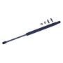 TUFF SUPPORT 613207 Hood Lift Support