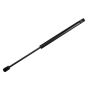 TUFF SUPPORT 613212 Liftgate Lift Support