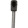 TUFF SUPPORT 613641 Liftgate Lift Support
