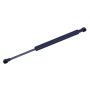 TUFF SUPPORT 613781 Hood Lift Support