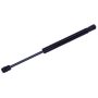 TUFF SUPPORT 613880 Trunk Lid Lift Support
