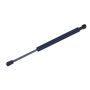 TUFF SUPPORT 613983 Trunk Lid Lift Support