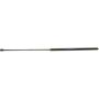 Autopart International Hood Strut TFS610043