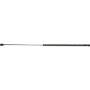 Autopart International Hood Strut TFS610202