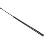 Autopart International Hood Strut TFS610243