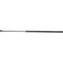 Autopart International Hood Strut Z TFS610523