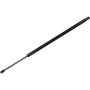 Autopart International Hatch Strut TFS610556