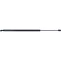 Autopart International Hatch Strut TFS610566