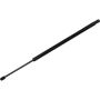 Autopart International Hatch Strut TFS610742