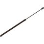 Autopart International Hatch Strut TFS610958