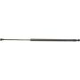 Autopart International Hatch Strut TFS610964