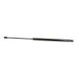 Autopart International Hatch Strut TFS610994