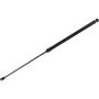 Autopart International Hood Strut TFS611020