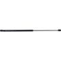 Autopart International Hatch Strut TFS611134