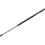 Autopart International Hatch Strut TFS611423