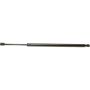 Autopart International Hatch Strut TFS611436